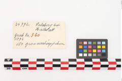 Etiketten zu Bronzeknopf (NHMW-PRAE-024772)